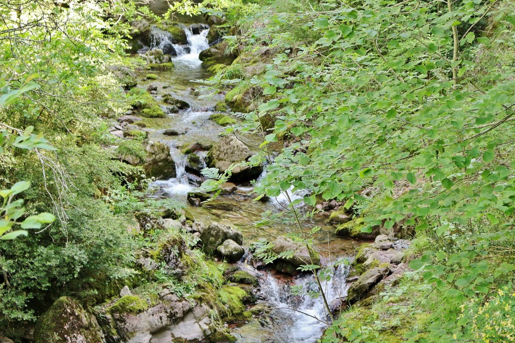 Foto: Rio Llobregat - Castellar de n´Hug (Barcelona), España