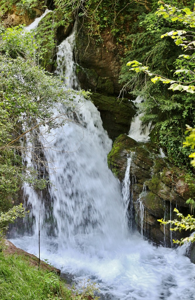 Foto: Fuentes del río Llobregat - Castellar de n´Hug (Barcelona), España