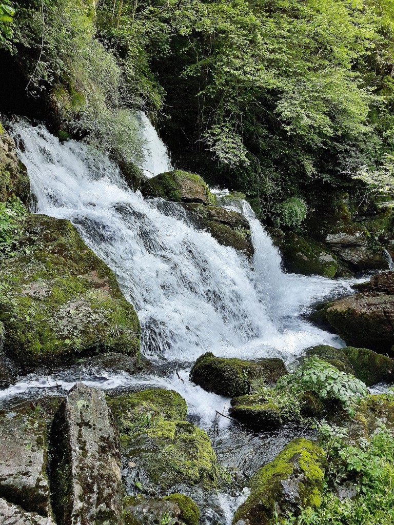 Foto: Fuentes del río Llobregat - Castellar de n´Hug (Barcelona), España