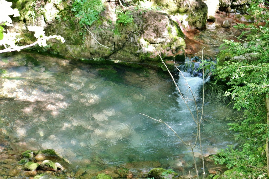 Foto: Río Llobregat - Castellar de n´Hug (Barcelona), España