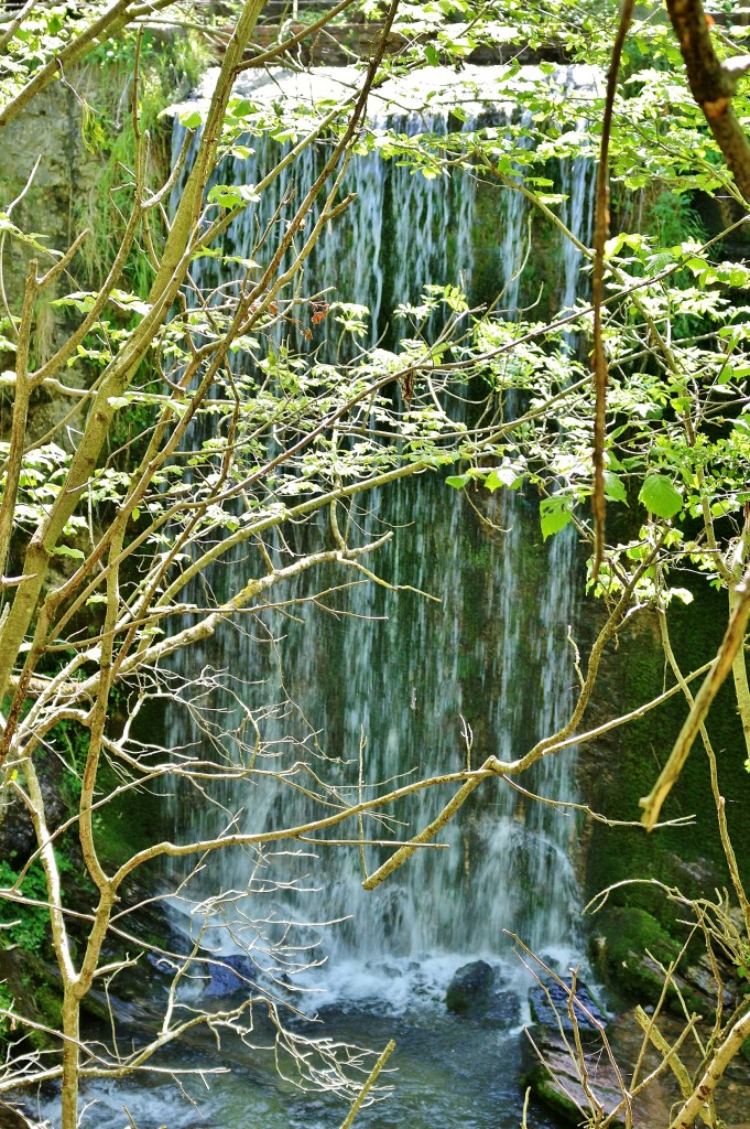 Foto: Rio Llobregat - Castellar de n´Hug (Barcelona), España