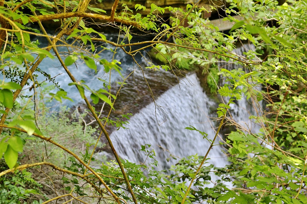 Foto: Rio Llobregat - Castellar de n´Hug (Barcelona), España