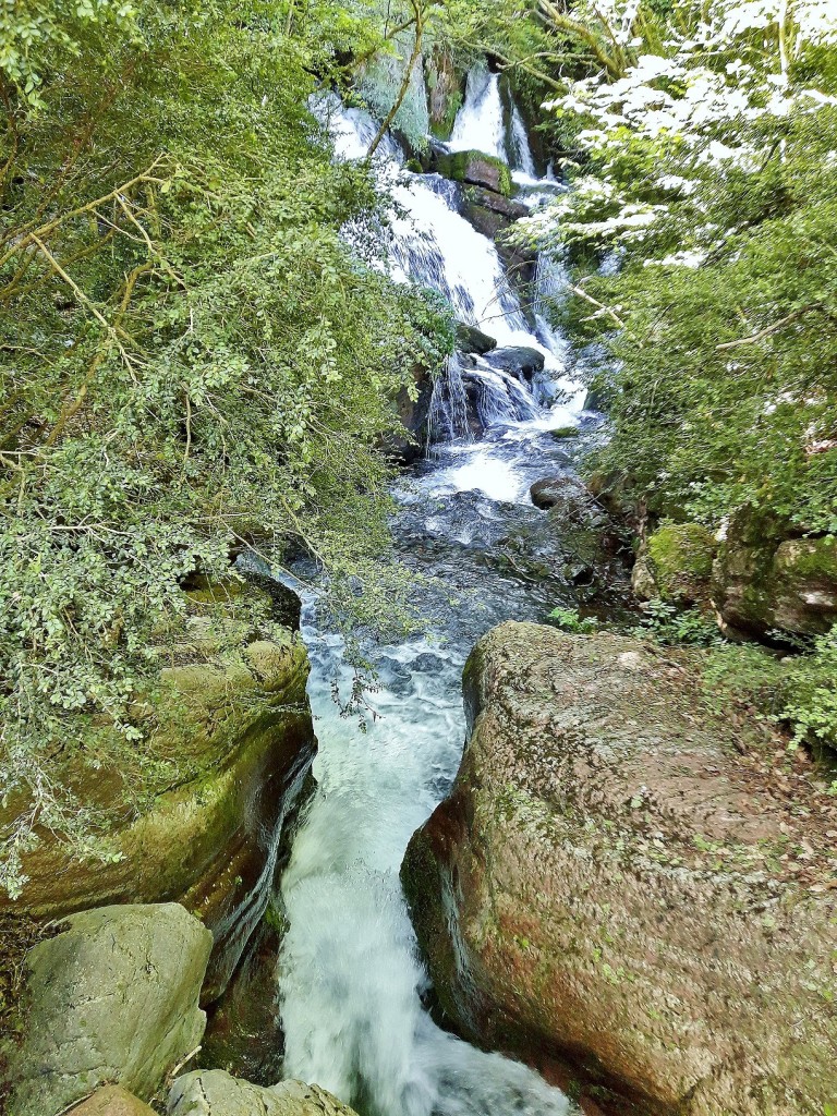 Foto: Fuentes del río Llobregat - Castellar de n´Hug (Barcelona), España