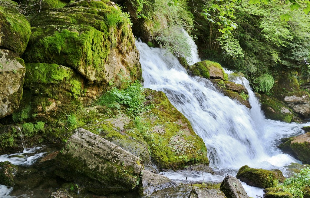 Foto: Fuentes del río Llobregat - Castellar de n´Hug (Barcelona), España