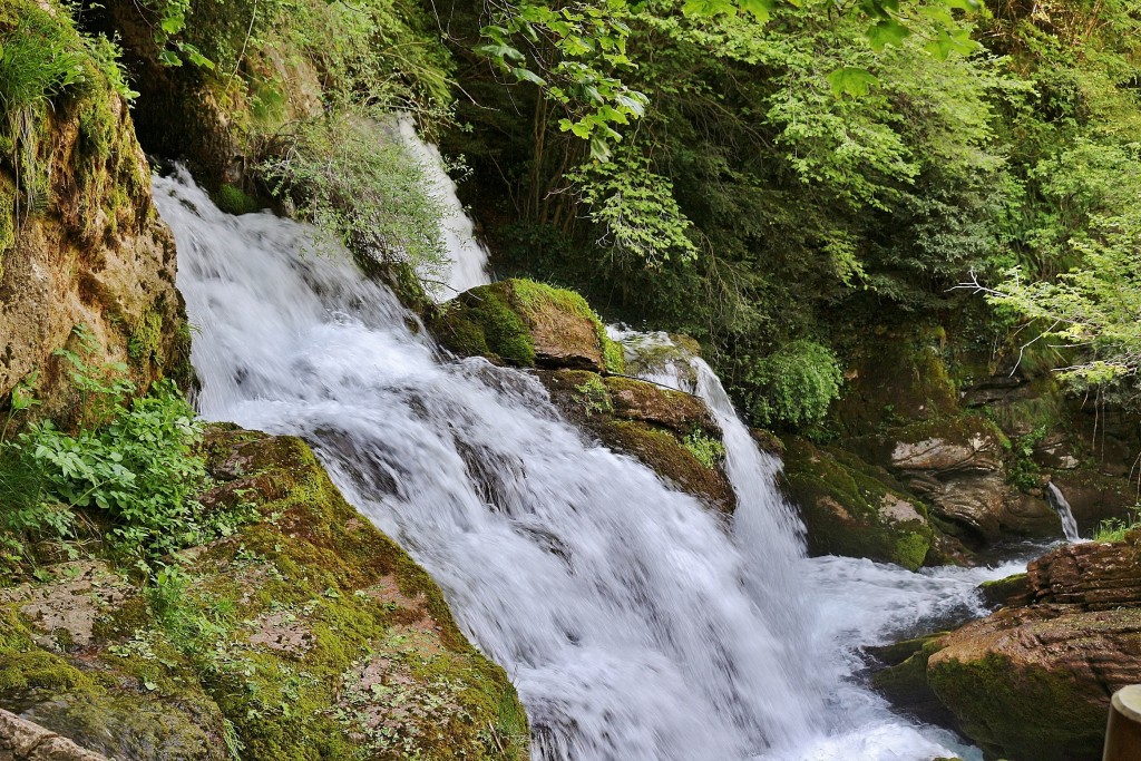 Foto: Fuentes del río Llobregat - Castellar de n´Hug (Barcelona), España