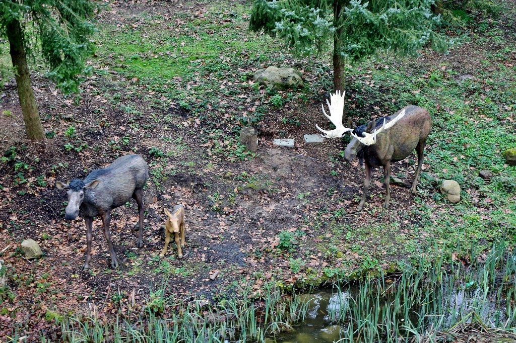 Foto: Disneyland París - Marne-la-Vallée (Île-de-France), Francia