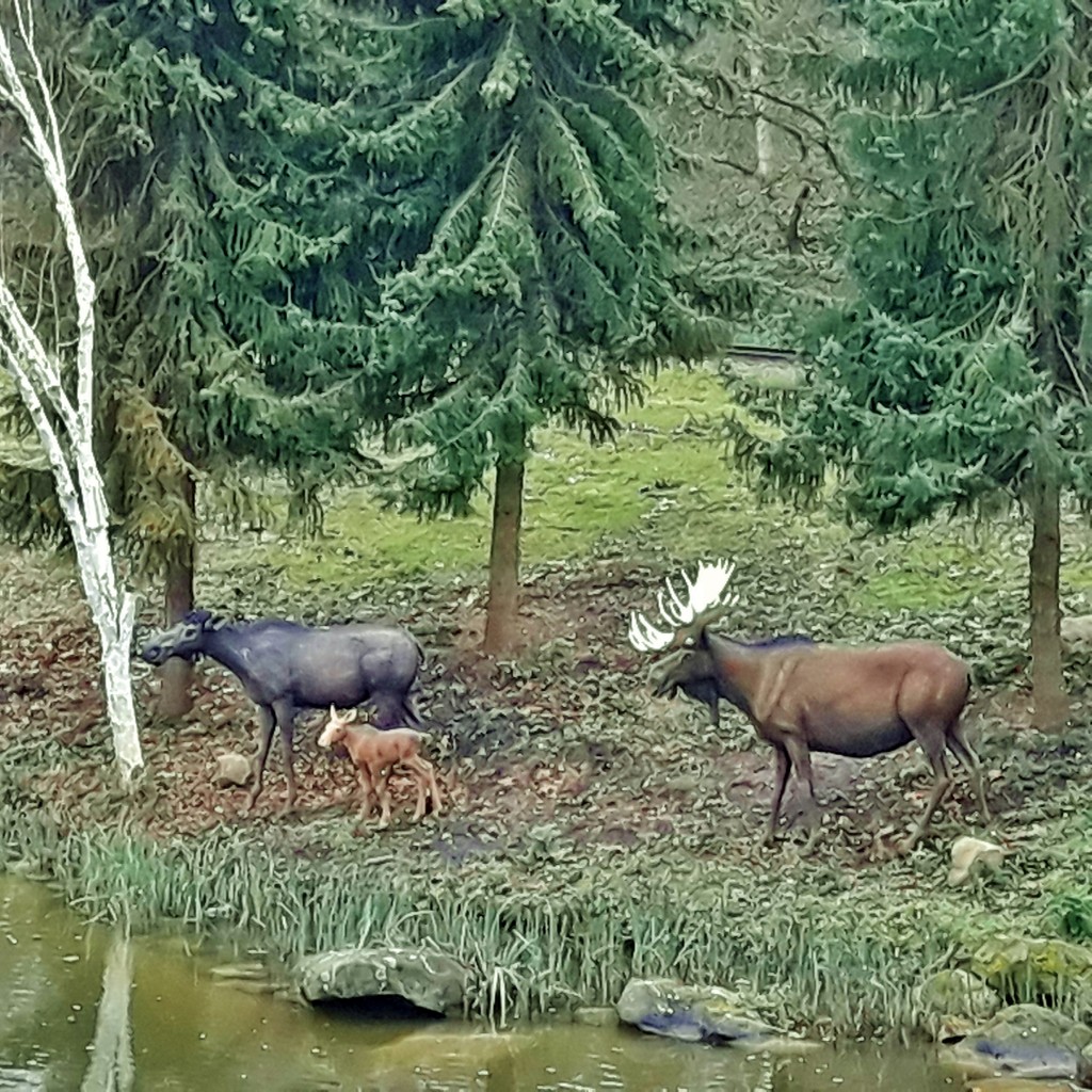 Foto: Disneyland París - Marne-la-Vallée (Île-de-France), Francia