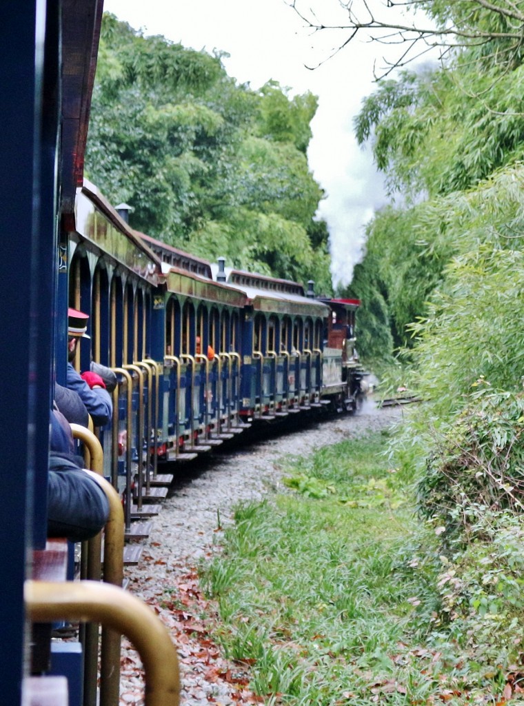 Foto: Disneyland París - Marne-la-Vallée (Île-de-France), Francia