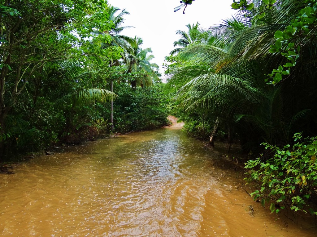 Foto: Carretera a Playa Rincón - Samaná, República Dominicana