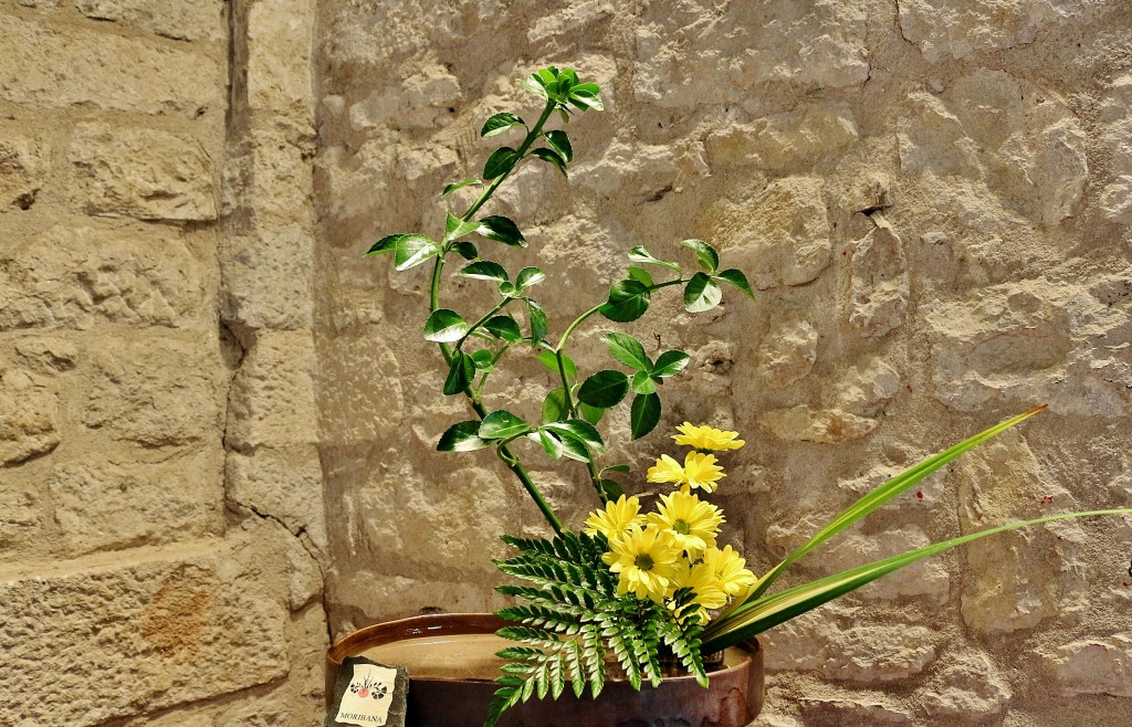 Foto: Girona tiempo de flores - Girona (Cataluña), España