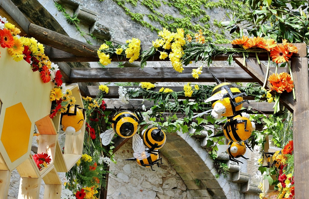 Foto: Girona tiempo de flores - Girona (Cataluña), España