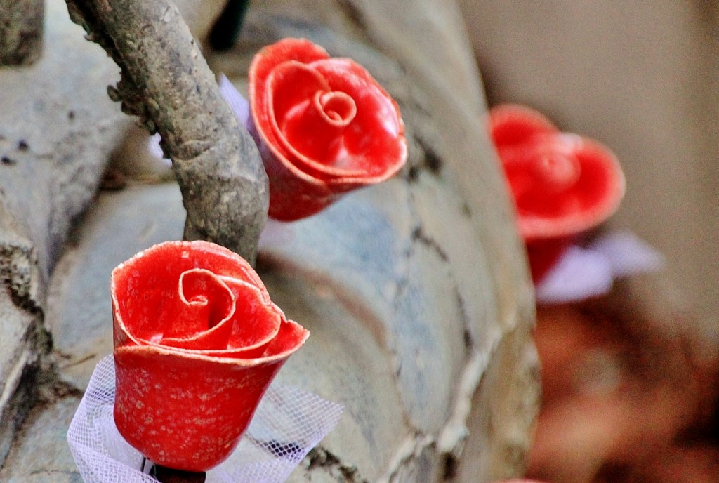 Foto: Girona tiempo de flores - Girona (Cataluña), España