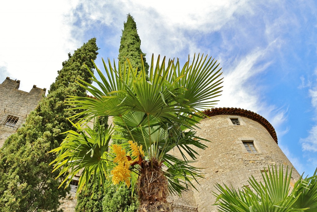 Foto: Girona tiempo de flores - Girona (Cataluña), España