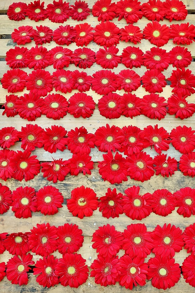 Foto: Girona tiempo de flores - Girona (Cataluña), España