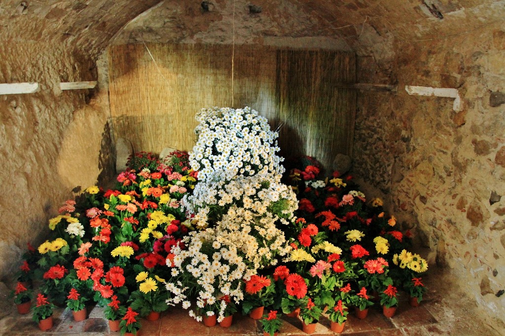 Foto: Girona tiempo de flores - Girona (Cataluña), España