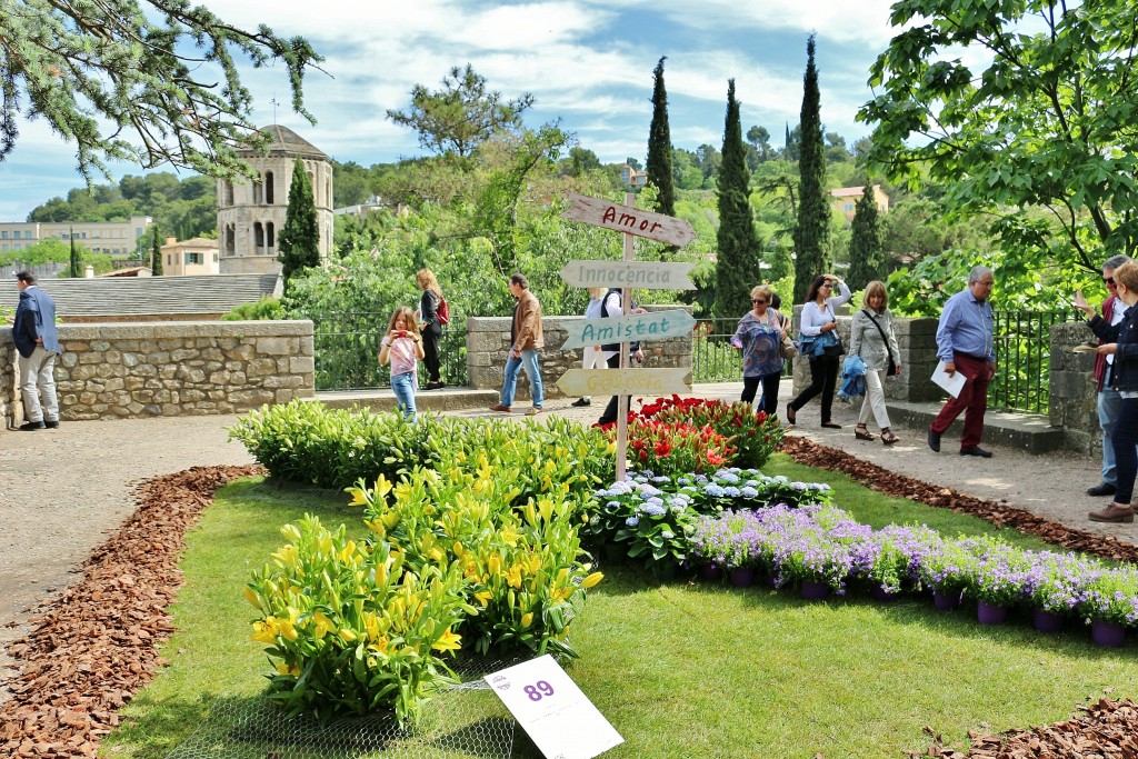 Foto: Girona tiempo de flores - Girona (Cataluña), España