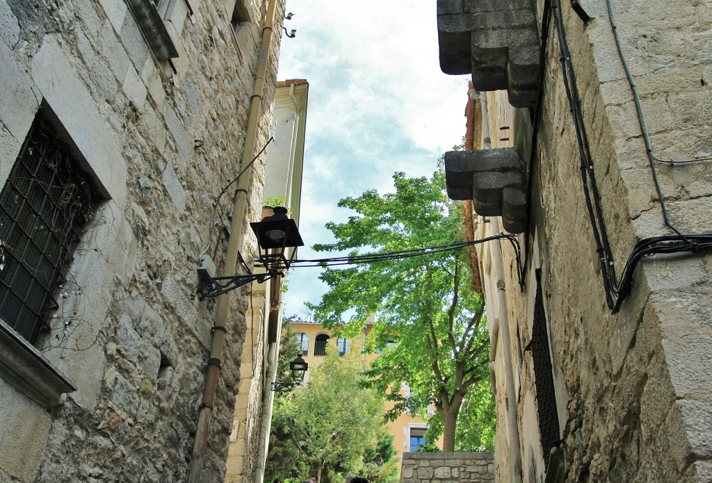 Foto: Girona tiempo de flores - Girona (Cataluña), España