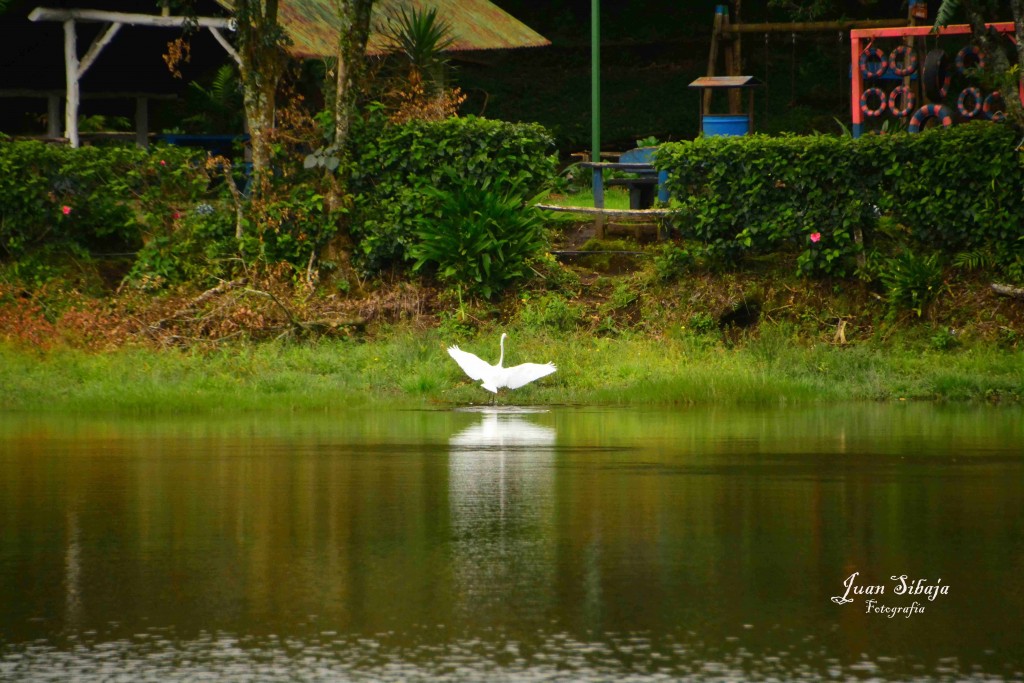 Foto de Alajuela, Costa Rica