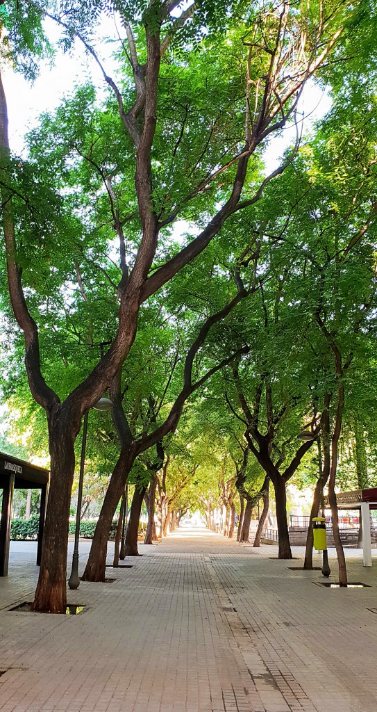 Foto: Jardines M. Granero - Valencia (València), España