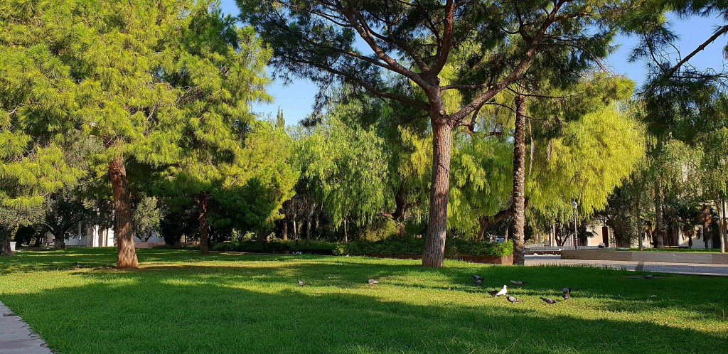 Foto: Jardines del Bioparc - Valencia (València), España