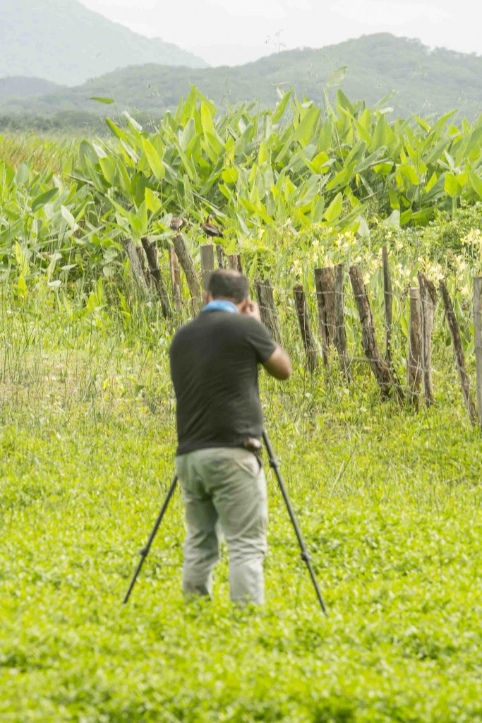 Foto de Guanacaste, Costa Rica