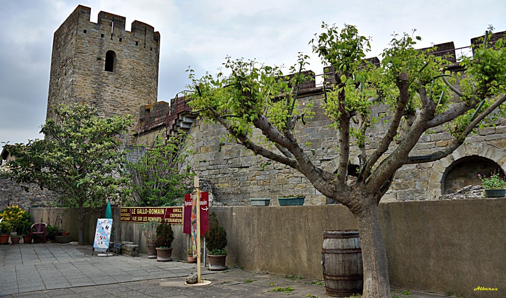 Foto de Carcassone, Francia