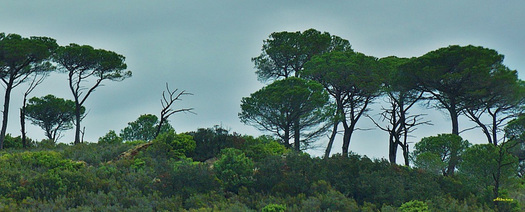 Foto de Bellegarde, Francia