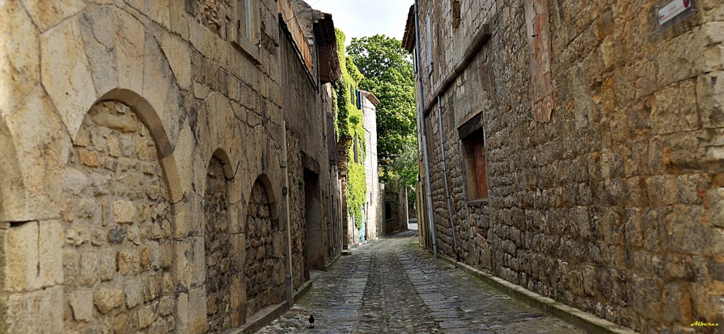 Foto de Lagrasse, Francia