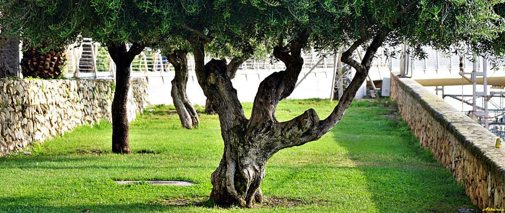 Foto de Tarragona (Cataluña), España