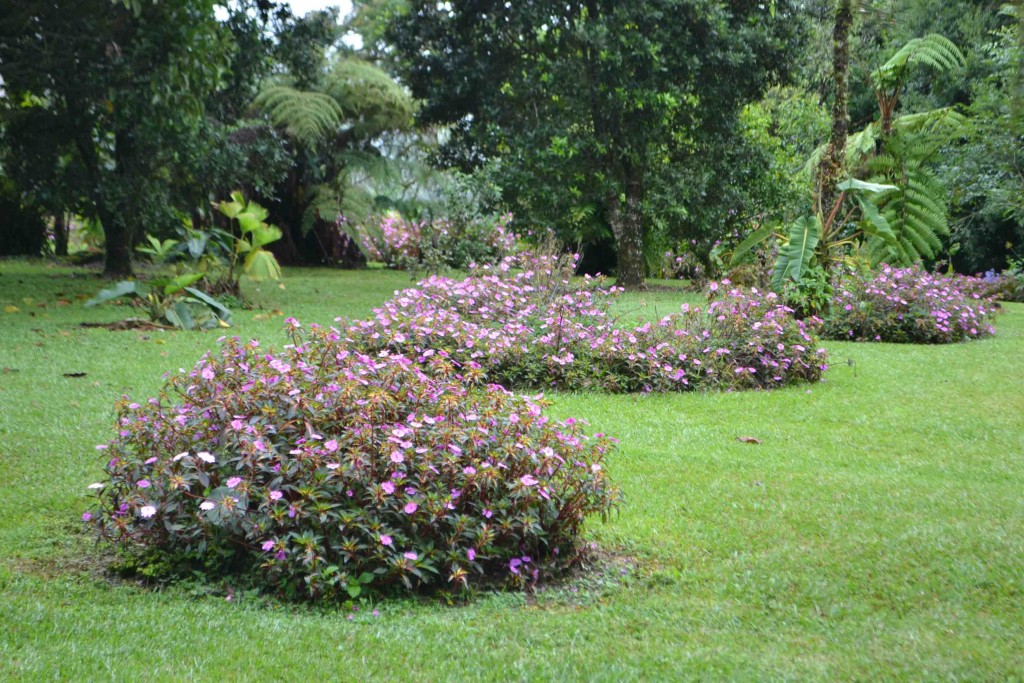 Foto de Los Cartagos (Alajuela), Costa Rica