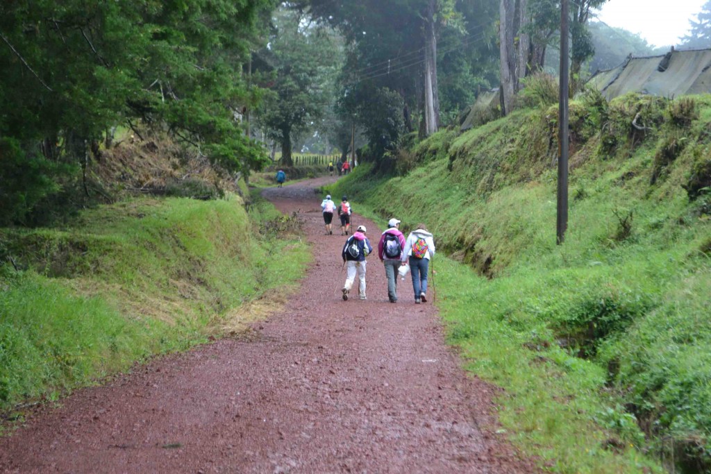 Foto de Los Cartagos (Alajuela), Costa Rica