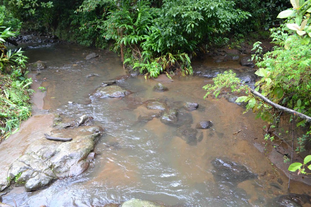 Foto de Los Cartagos (Alajuela), Costa Rica