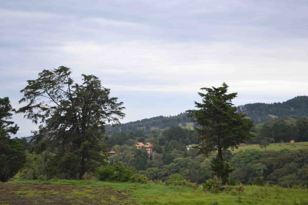 Foto de Los Cartagos (Alajuela), Costa Rica