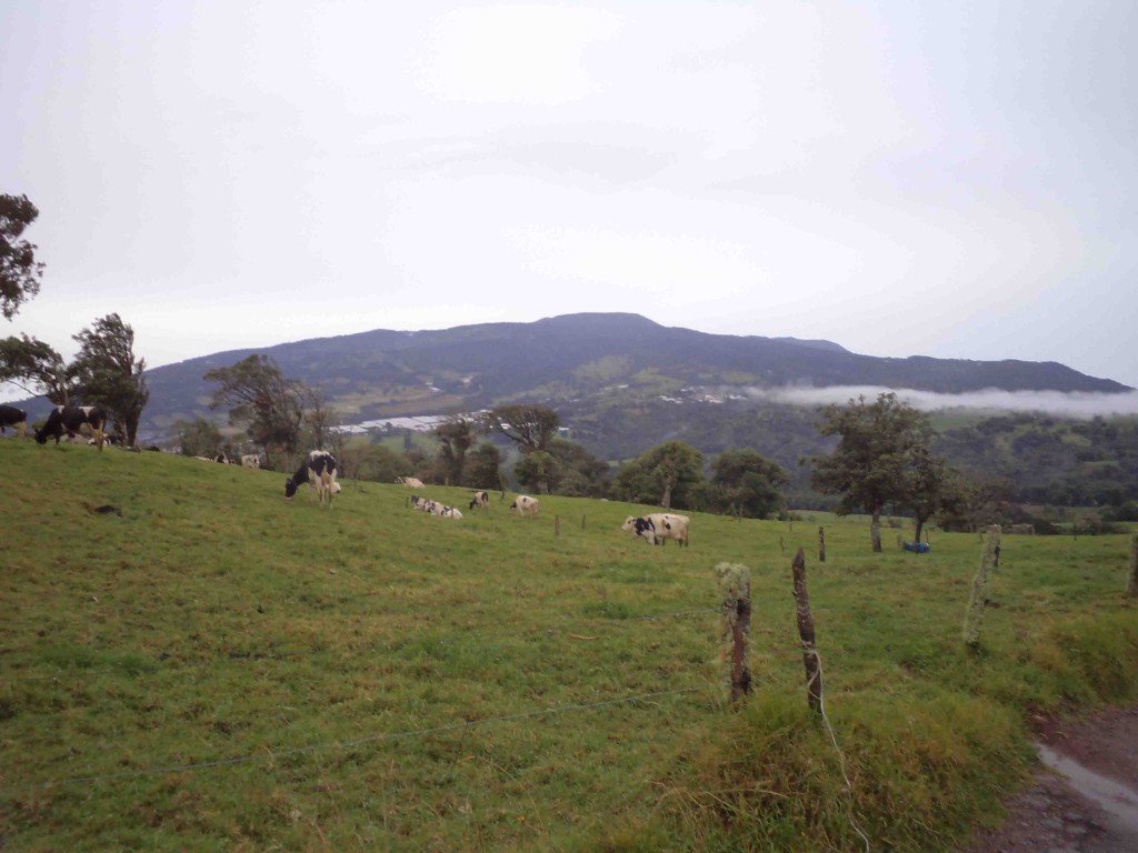 Foto de Los Cartagos (Alajuela), Costa Rica