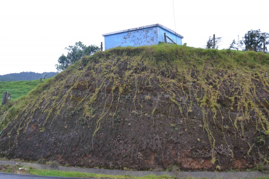 Foto de Los Cartagos (Alajuela), Costa Rica