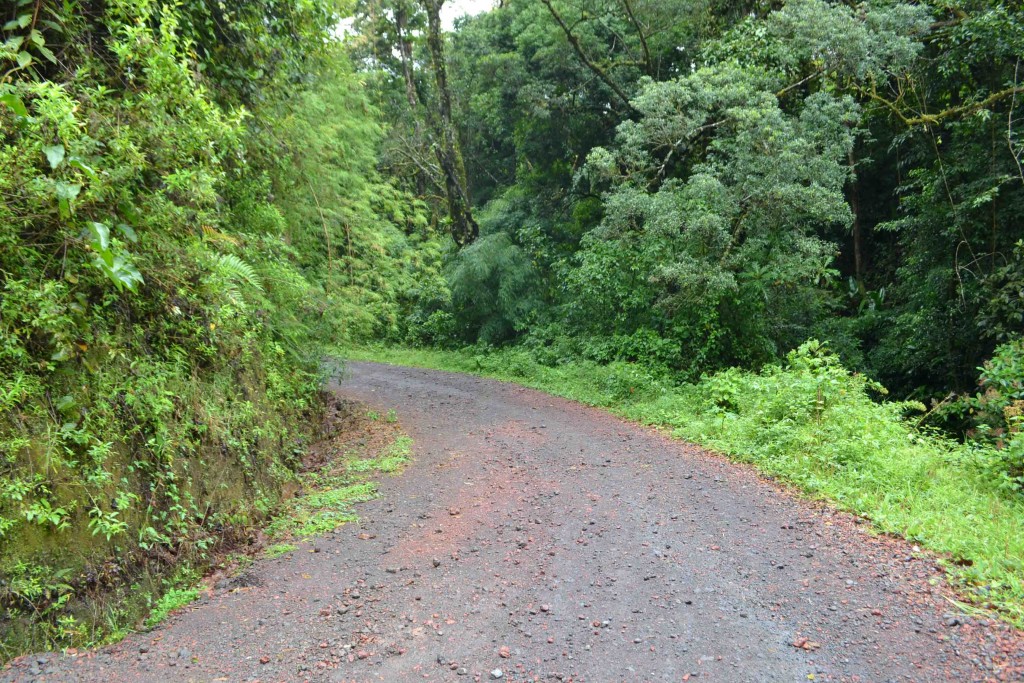 Foto de Los Cartagos (Alajuela), Costa Rica