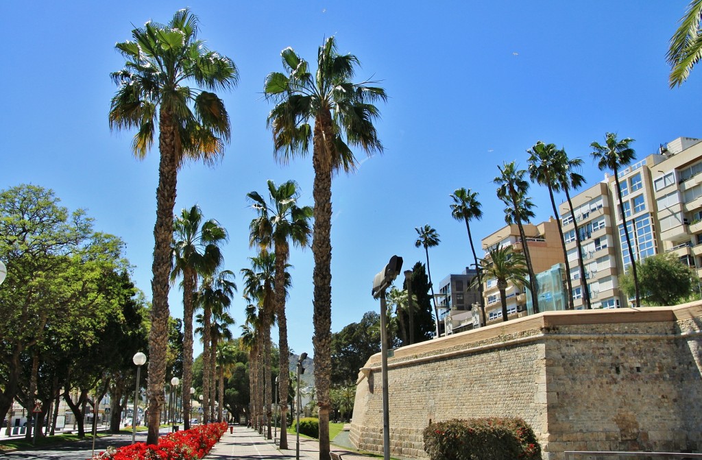 Foto: Vista de la ciudad - Cartagena (Murcia), España