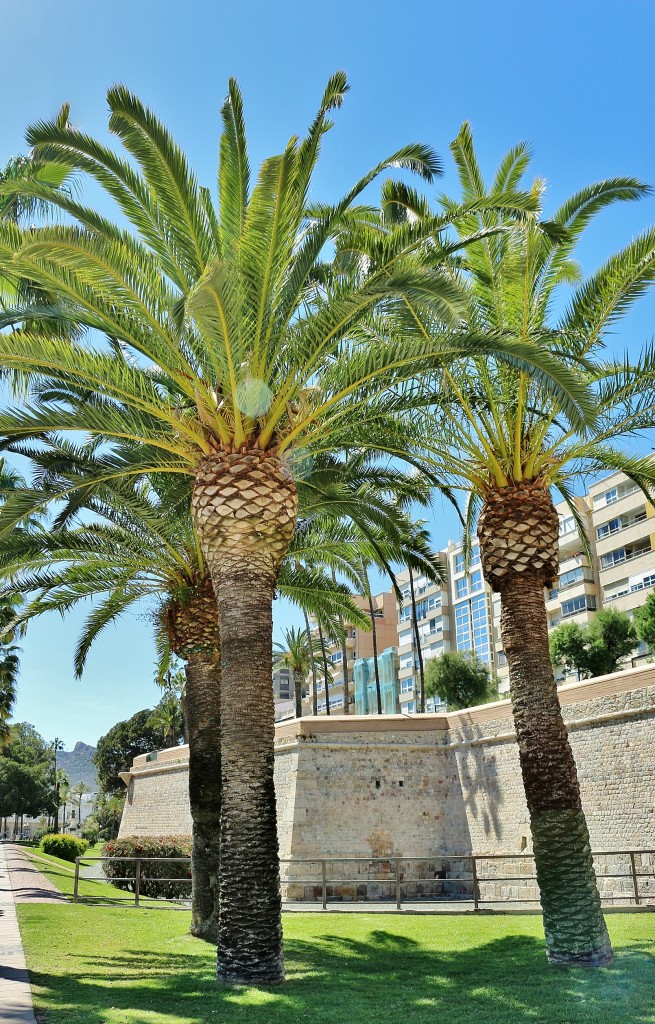 Foto: Vista de la ciudad - Cartagena (Murcia), España