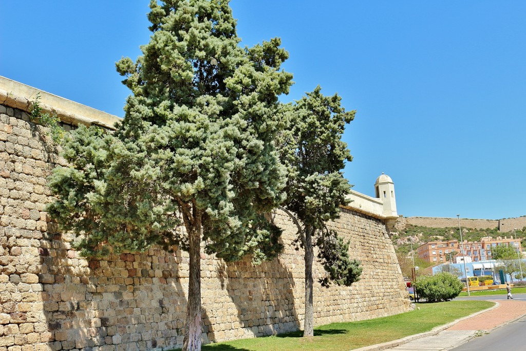 Foto: Muralla - Cartagena (Murcia), España