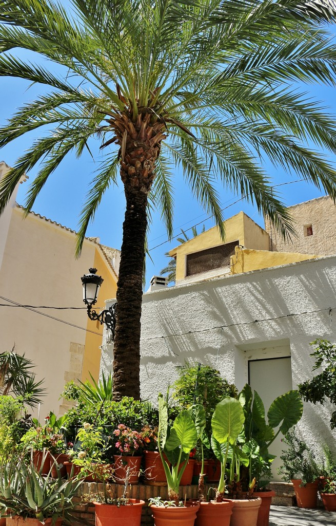 Foto: Vista del pueblo - Ojos (Murcia), España