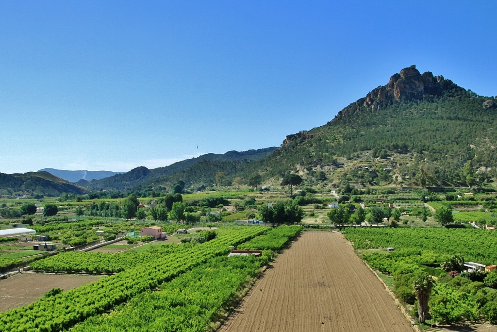 Foto: Paisaje - Cieza (Murcia), España