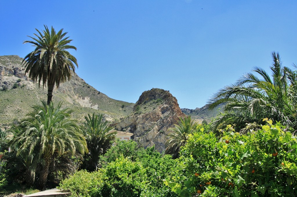 Foto: Paisaje - Ojos (Murcia), España