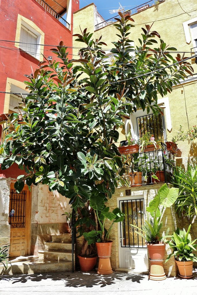 Foto: Vista del pueblo - Ojos (Murcia), España