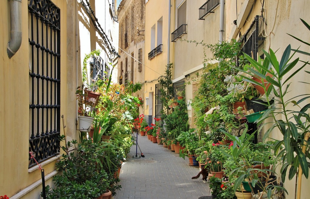 Foto: Vista del pueblo - Ojos (Murcia), España