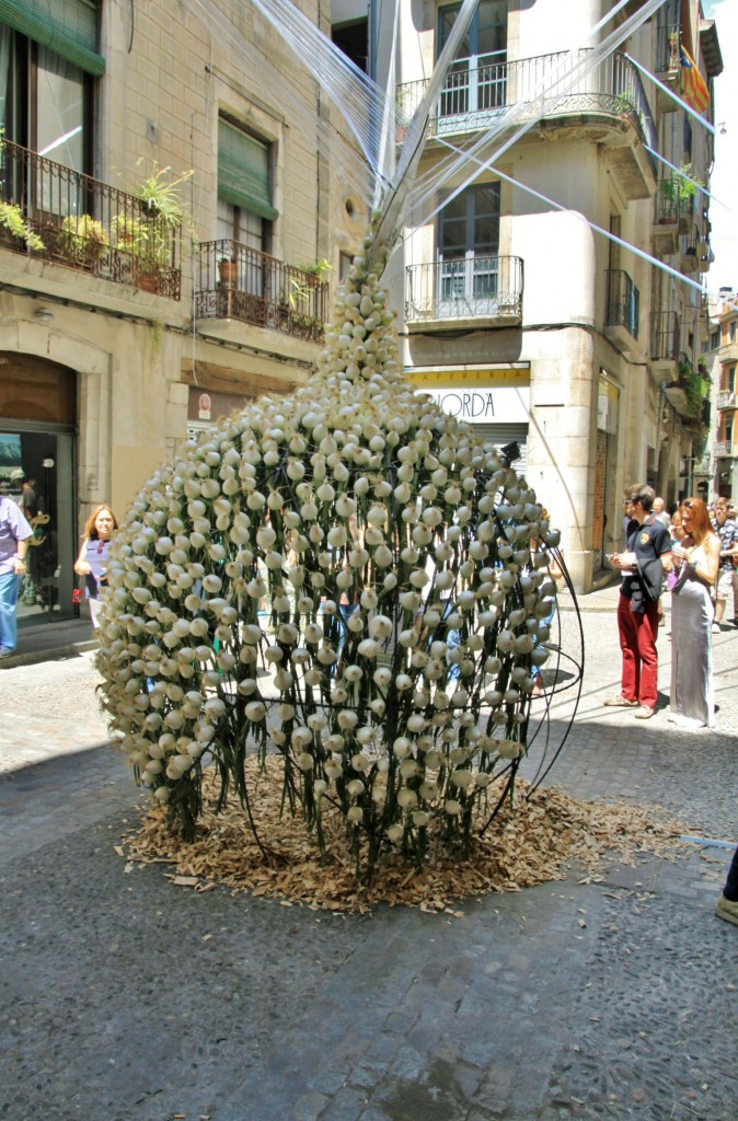 Foto: Tiempo de flores - Girona (Cataluña), España