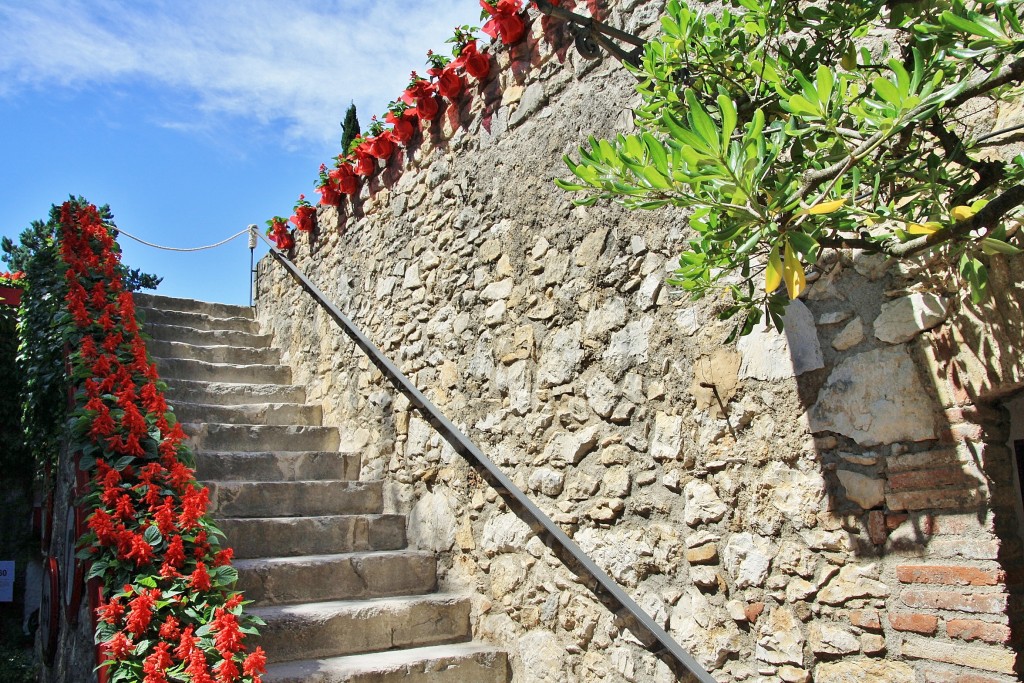 Foto: Tiempo de flores - Girona (Cataluña), España