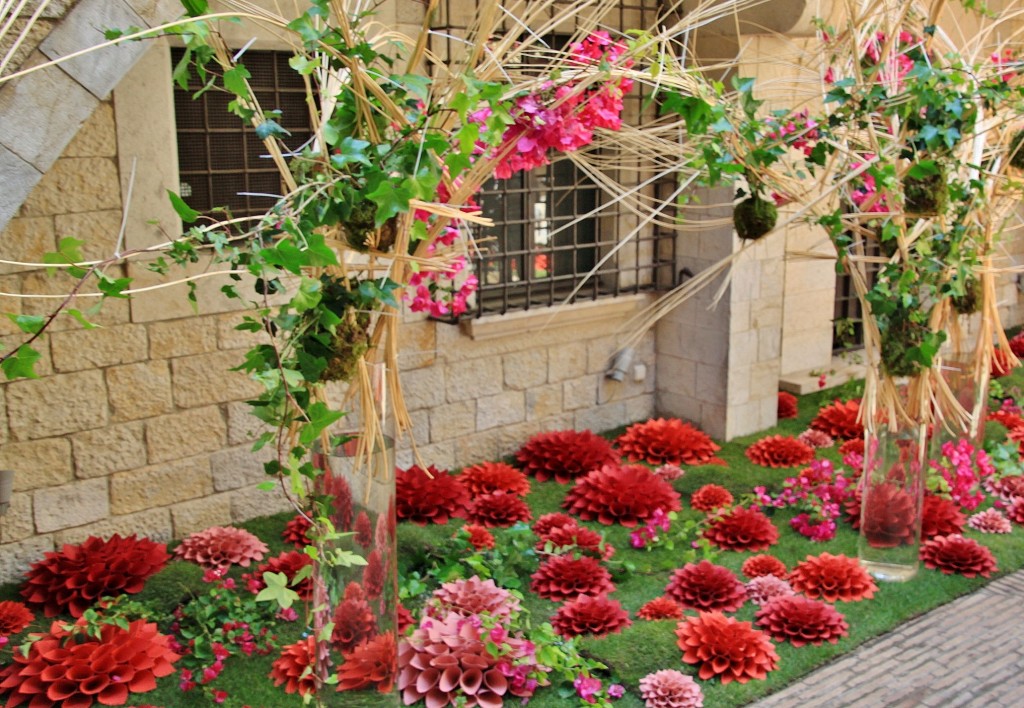 Foto: Tiempo de flores - Girona (Cataluña), España