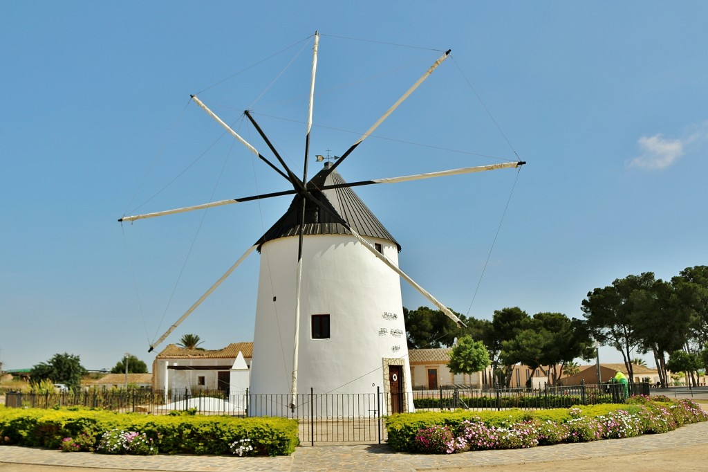 Foto: Molino - Torre-Pacheco (Murcia), España