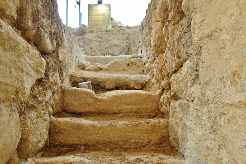 Foto: Museo arqueológico - Alhama de Murcia (Murcia), España