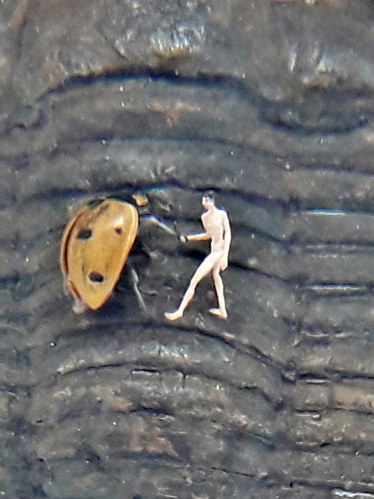 Foto: Museo de microminiaturas - Castell de Guadalest (Alicante), España